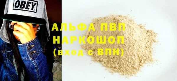 ECSTASY Гусь-Хрустальный