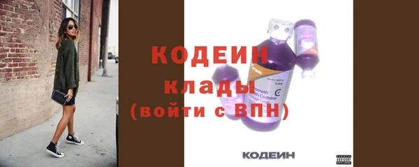 ECSTASY Гусь-Хрустальный