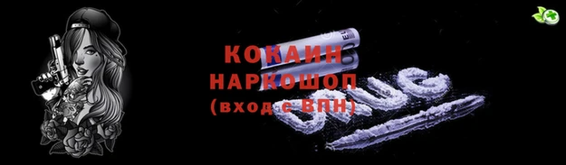 apvp Горняк
