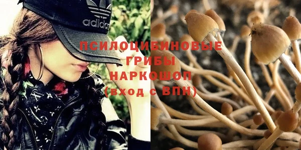 прущий лед Горно-Алтайск