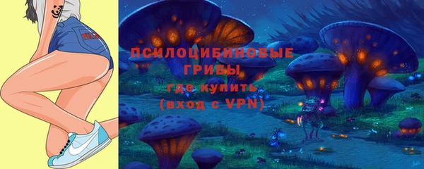 прущий лед Горно-Алтайск